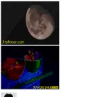 jhalfmoon.com