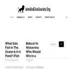 johnballzoosociety.org johnballzoosociety.org