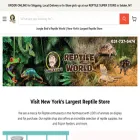 junglebobsreptileworld.com