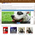 k9puppy.co.uk