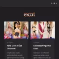 kartalescort.com.tr