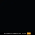 katanainu.com katanainu.com