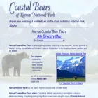 katmaibears.com