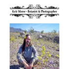 keiriosity.com