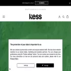 kessberlin.de