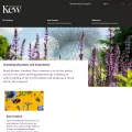kew.org