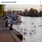 kingstonuponthames.info kingstonuponthames.info