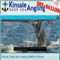 kinsaleangling.com