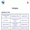 kiodigital.net