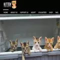 kittensanctuarysg.org