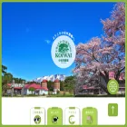 koiwaifarm.com koiwaifarm.com
