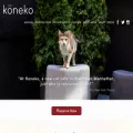 konekonyc.com konekonyc.com