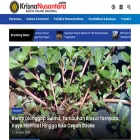 krisnanusantara.com krisnanusantara.com