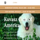 kuvasz.com kuvasz.com