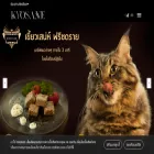 kyosane.com kyosane.com