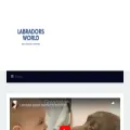 labradorsworld.com