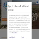 lacecinella.com lacecinella.com