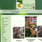ladybugstulsa.com ladybugstulsa.com