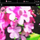 lafeteduslip.ch lafeteduslip.ch