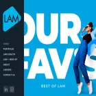 lamdesign.com lamdesign.com
