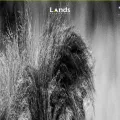 landsdigital.com.br landsdigital.com.br