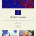 lantsandlaminins.com