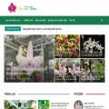 lantunhien.com