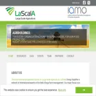 largescaleagriculture.com