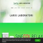 larixlaboratori.it
