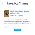 latestdogtraining.com