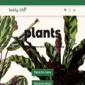 leafy-life.com