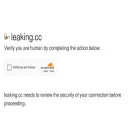 leaking.cc leaking.cc