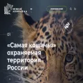 leopard-land.ru