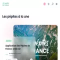 lespepitesdefrance.com