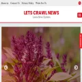 letscrawlnews.com letscrawlnews.com