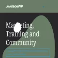 leveragewp.com