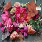 lewismillerdesign.com