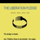 liberationpledge.com liberationpledge.com