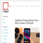 libpd.cc