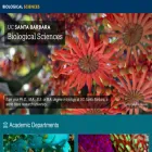 lifesci.ucsb.edu lifesci.ucsb.edu