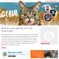 lilbub.com lilbub.com