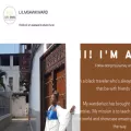 lilmsawkward.com