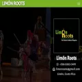 limonroots.com limonroots.com