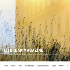 litbreak.com litbreak.com