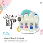 littlebigdairy.co littlebigdairy.co
