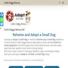 littledoggyrescue.co.za