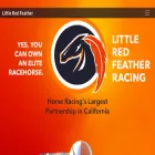 littleredfeather.com littleredfeather.com