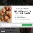 littletreefarmns.com littletreefarmns.com