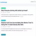 liveconcept.info