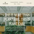 livedecor.co.nz